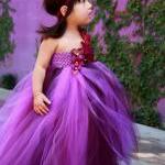 Flower Girl Dress Eggplant And Purple , Baby Tutu..